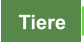 Tiere